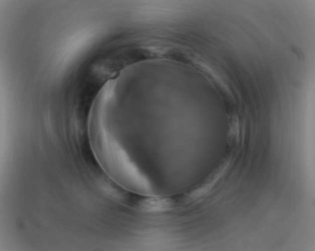 X0000114120526200910191726