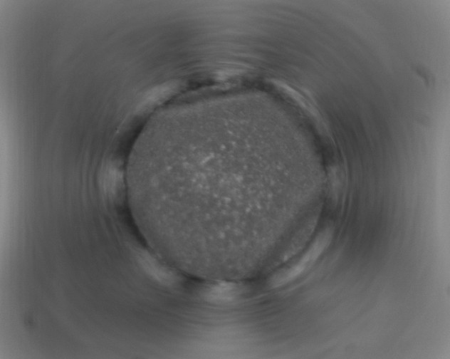 X0000114120527200910191726