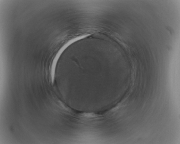 X0000114120528200910191726