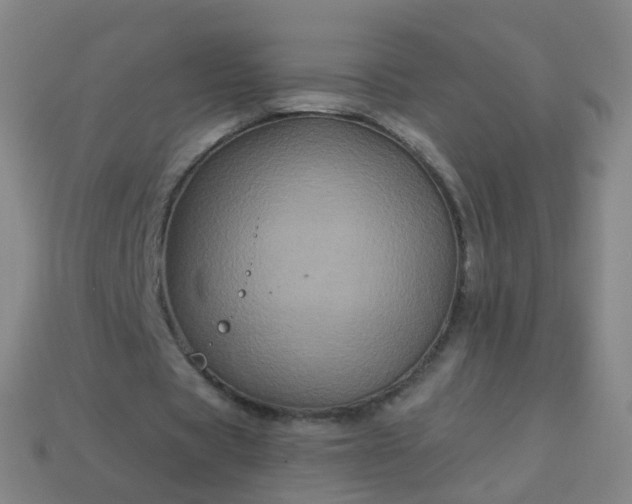 X0000114120529200910191725