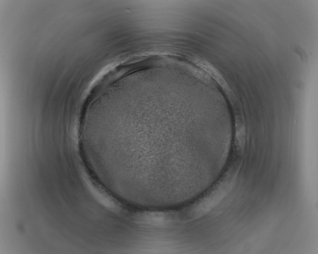 X0000114120530200910191725