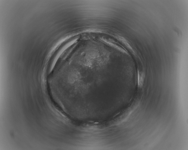 X0000114120531200910191725