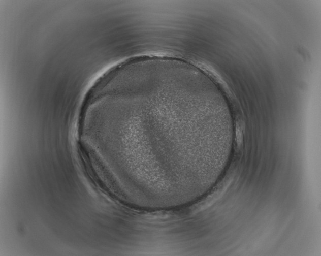 X0000114120532200910191725