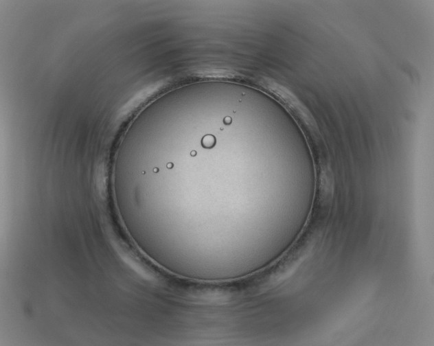 X0000114120533200910191725