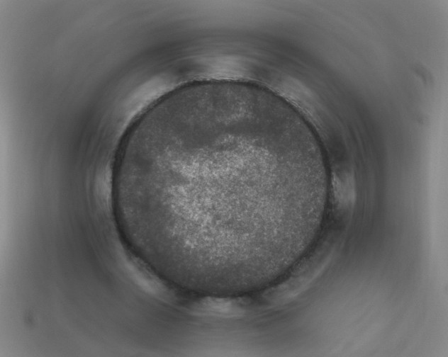 X0000114120534200910191725