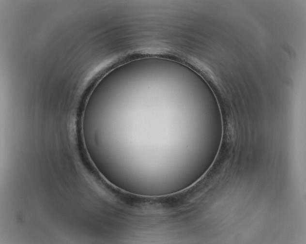 X0000114120535200910191725