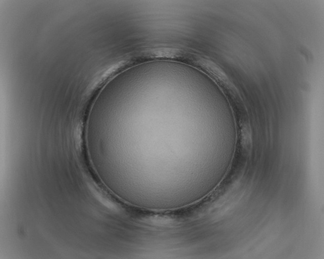 X0000114120537200910191725