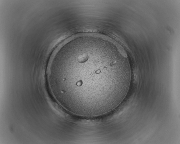 X0000114120538200910191725