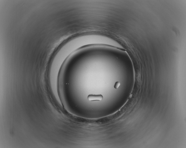 X0000114120540200910191725