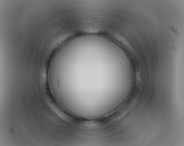 X0000114120541200910191725