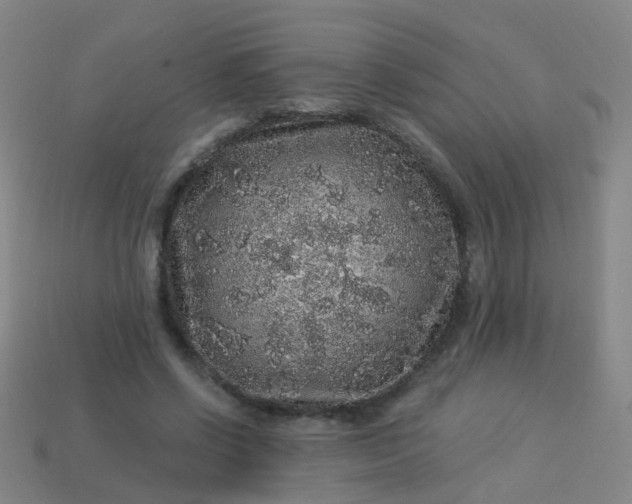 X0000114120542200910191725