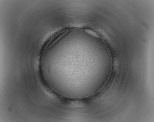 X0000114120544200910191725