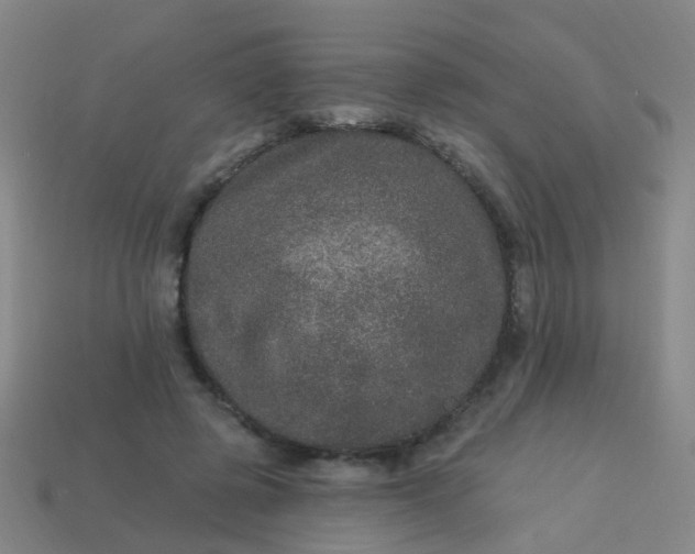 X0000114120545200910191725