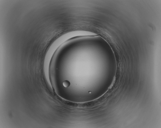 X0000114120546200910191725