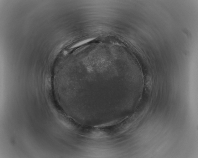 X0000114120547200910191725