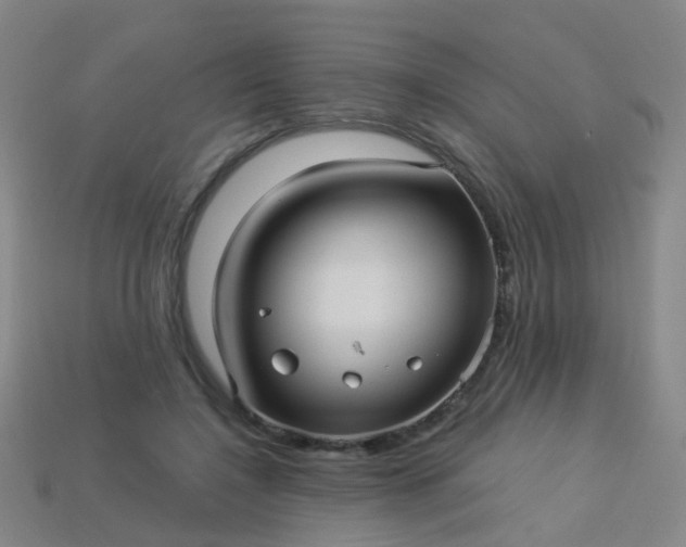 X0000114120548200910191725