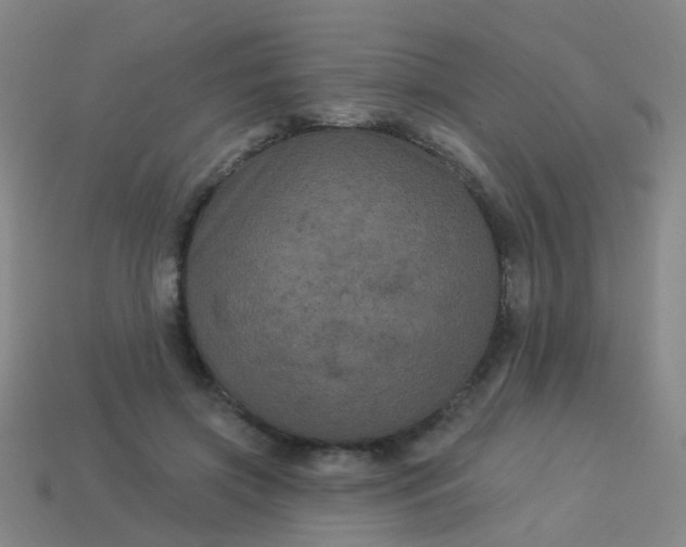 X0000114120549200910191725