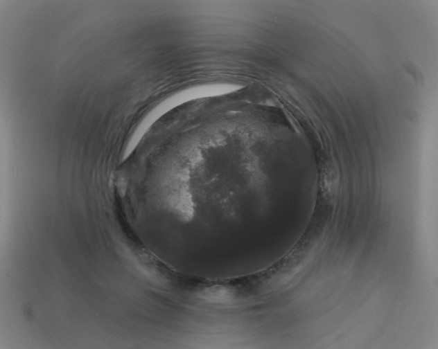 X0000114120551200910191725