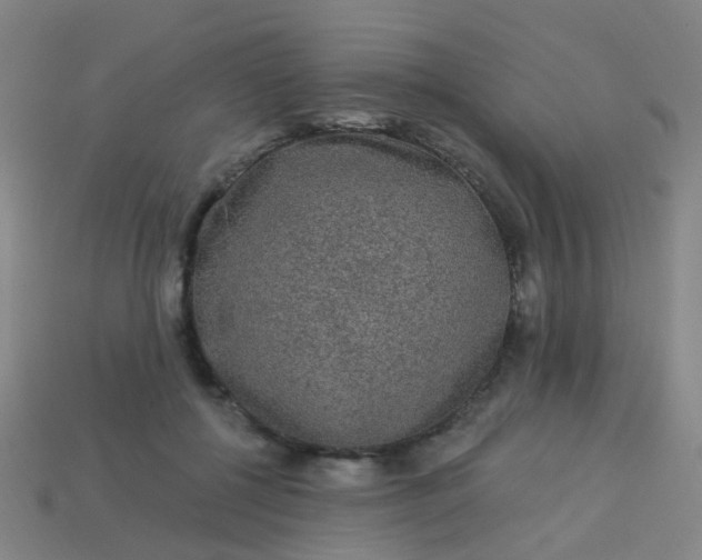 X0000114120552200910191725