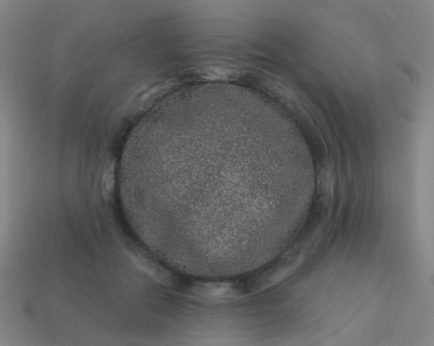 X0000114120554200910191725