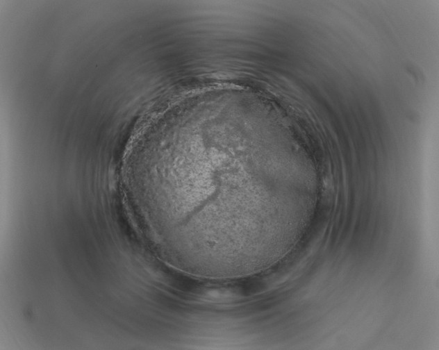 X0000114120555200910191725