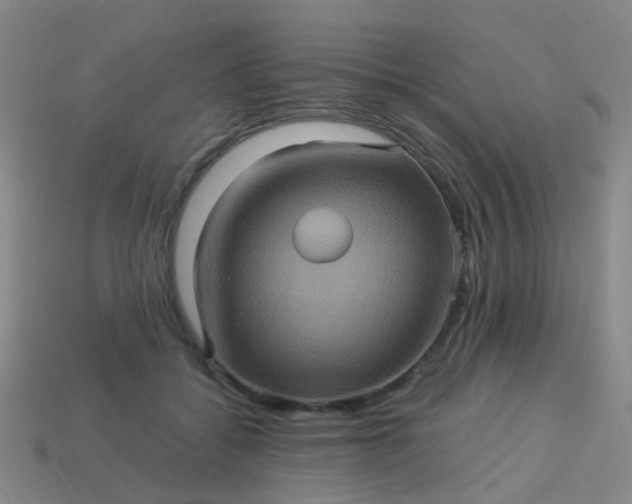 X0000114120556200910191725