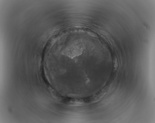 X0000114120559200910191726