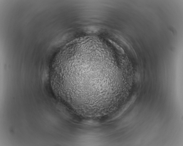 X0000114120561200910191726