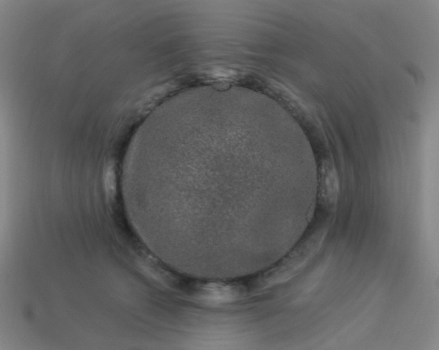 X0000114120562200910191726