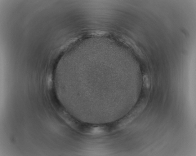 X0000114120564200910191726