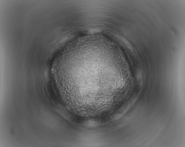 X0000114120565200910191726