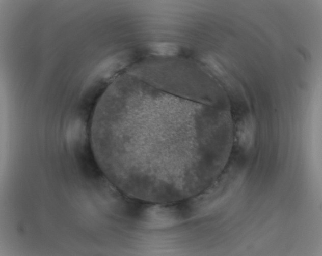 X0000114120568200910191726