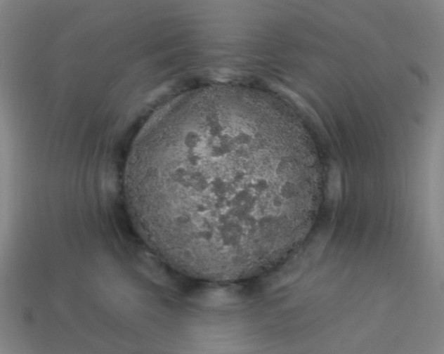 X0000114120569200910191726