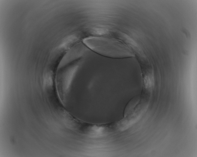 X0000114120570200910191726