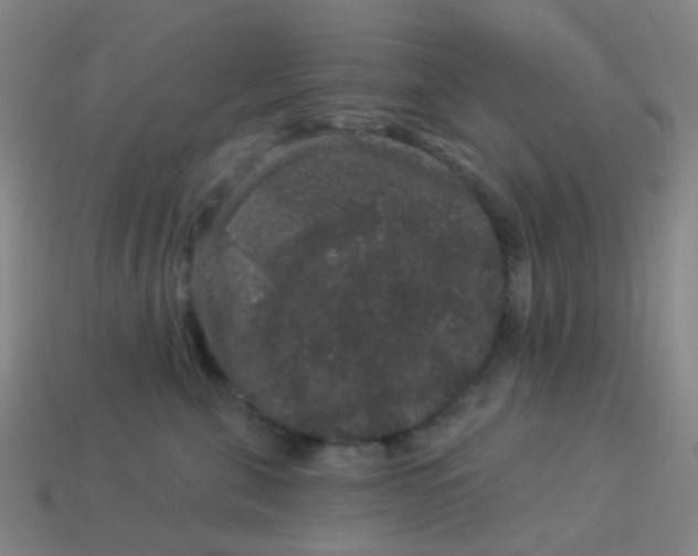 X0000114120571200910191726