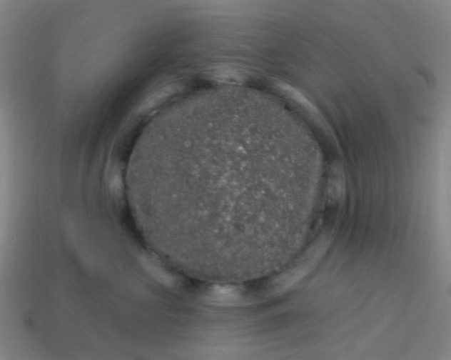 X0000114120573200910191726