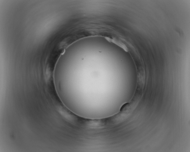 X0000114120574200910191726