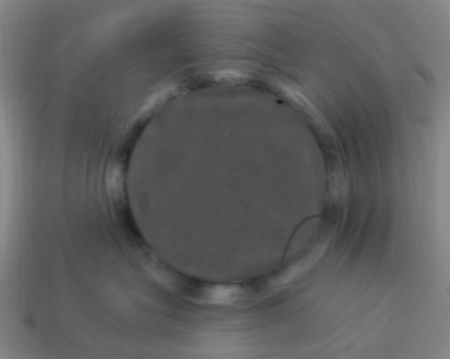 X0000114120575200910191726