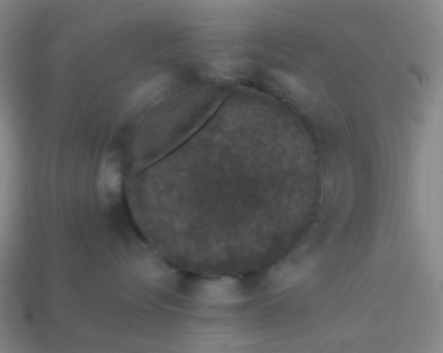 X0000114120576200910191726