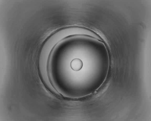 X0000114120577200910191725