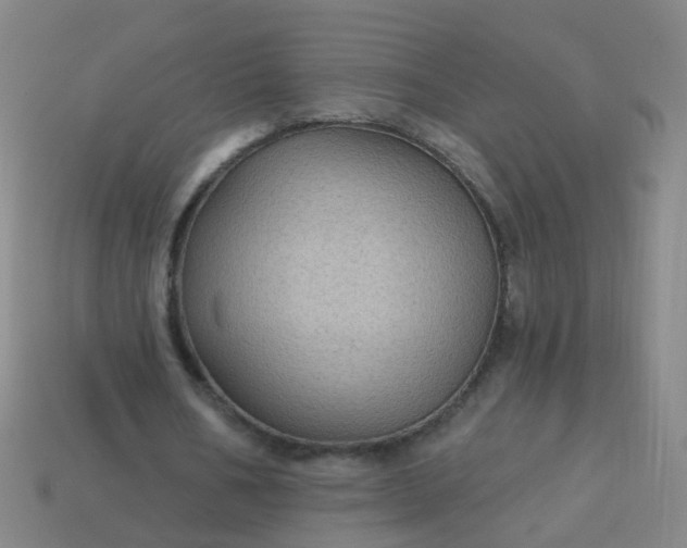 X0000114120578200910191725