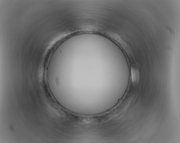 X0000114120579200910191725