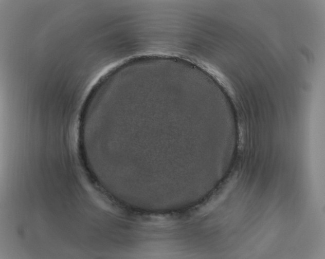 X0000114120580200910191725