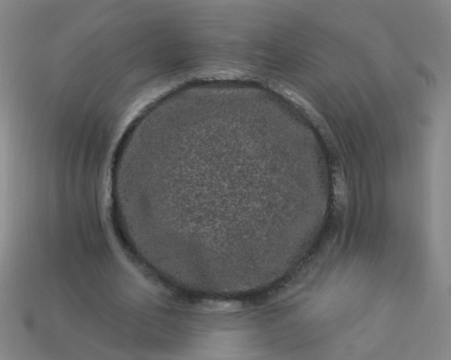 X0000114120582200910191725