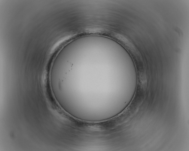 X0000114120583200910191725