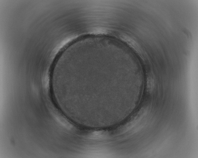 X0000114120584200910191725