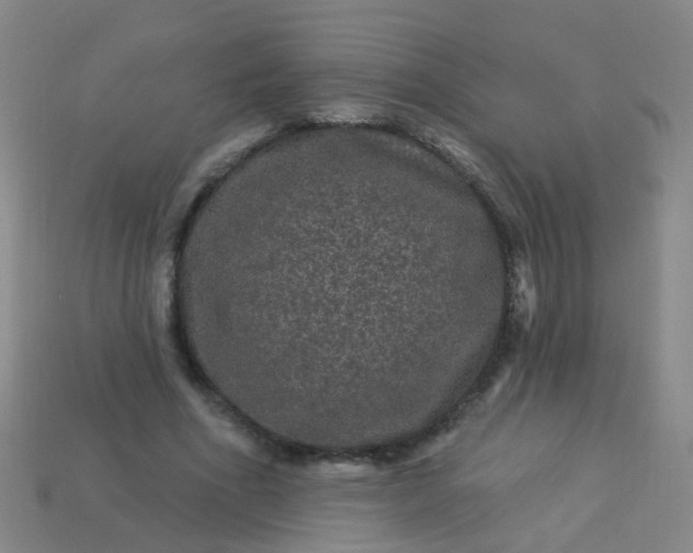 X0000114120586200910191725