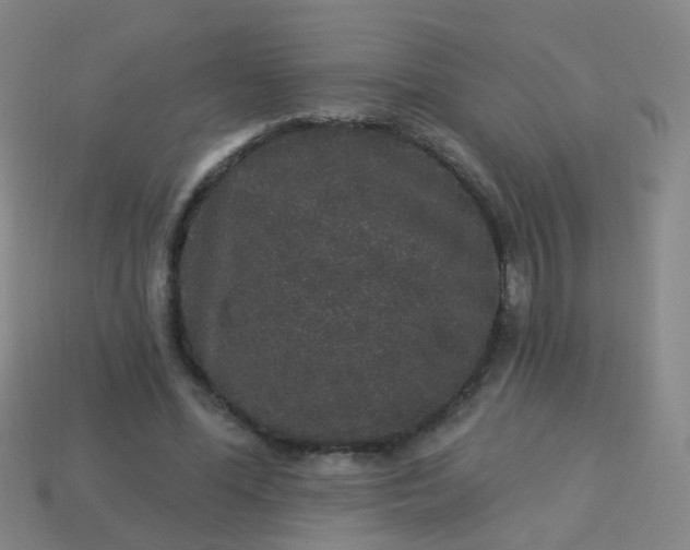 X0000114120588200910191725