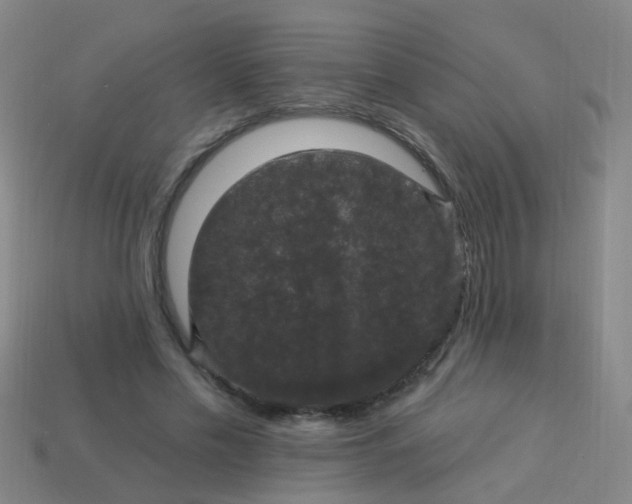 X0000114120589200910191725