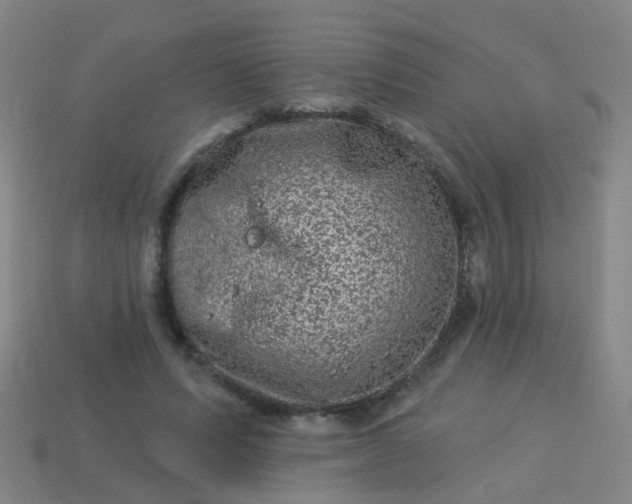 X0000114120591200910191725